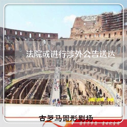 法院或进行涉外公告送达