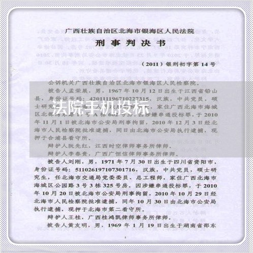 法院手机投标