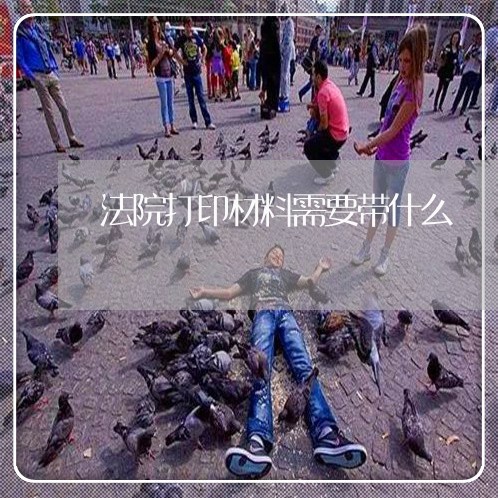 法院打印材料需要带什么