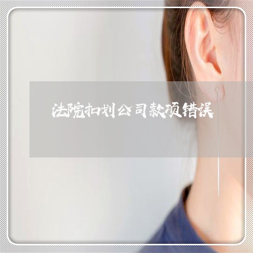 法院扣划公司款项错误