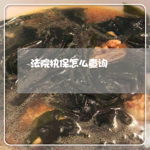 法院执保怎么查询 法院执保怎么查询