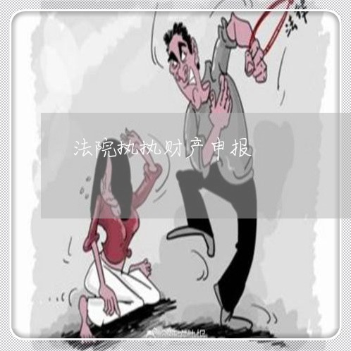法院执执财产申报 法院执执财产申报
