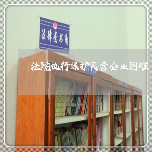 法院执行保护民营企业困难