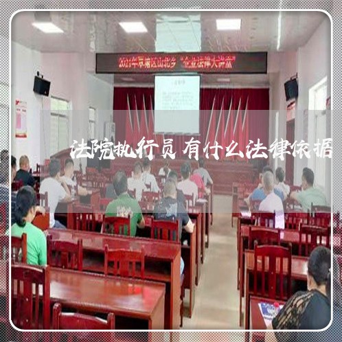 法院执行员有什么法律依据