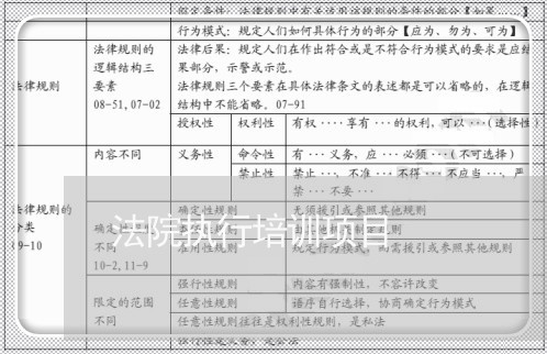 法院执行培训项目 法院执行培训项目