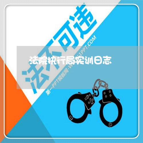 法院执行局实训日志 法院执行局实训日志