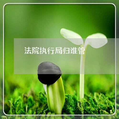 法院执行局归谁管