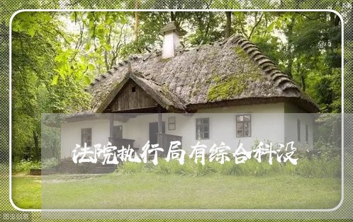 法院执行局有综合科没 法院执行局有综合科没