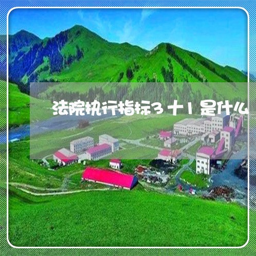 法院执行指标3十1是什么