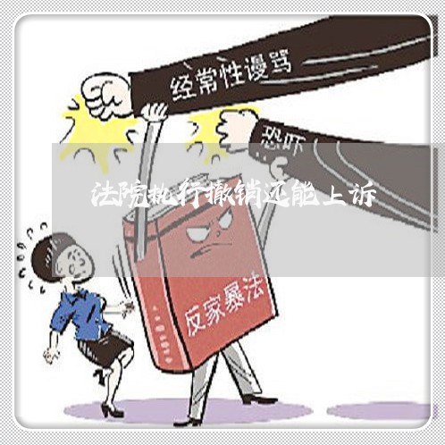法院执行撤销还能上诉
