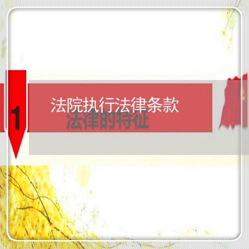 法院执行法律条款