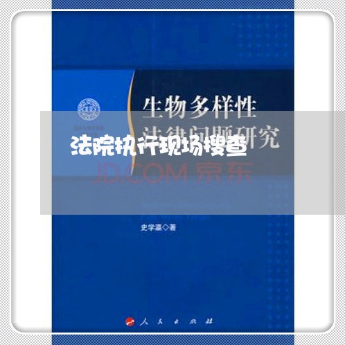 法院执行现场搜查