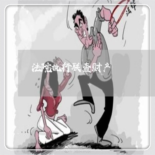 法院执行联查财产