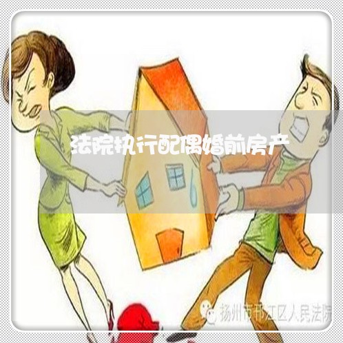 法院执行配偶婚前房产