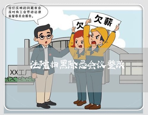 法院扫黑除恶会议整改