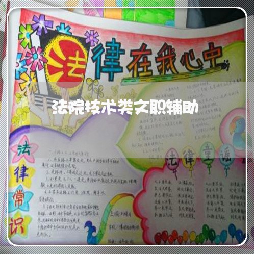法院技术类文职辅助