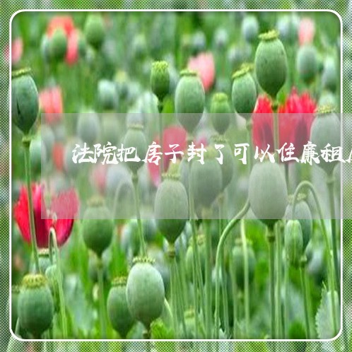 法院把房子封了可以住廉租房