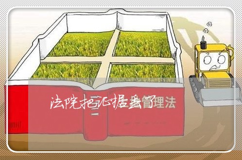 法院把证据丢了 法院把证据丢了