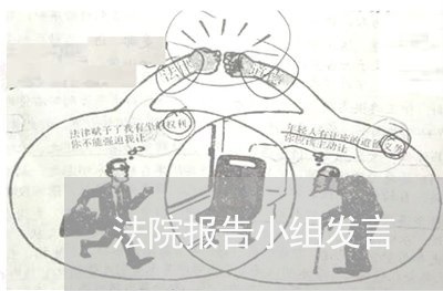 法院报告小组发言