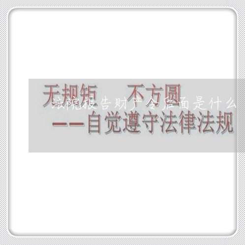 法院报告财产令后面是什么