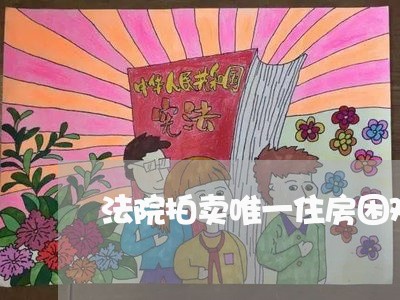 法院拍卖唯一住房困难申请书范文