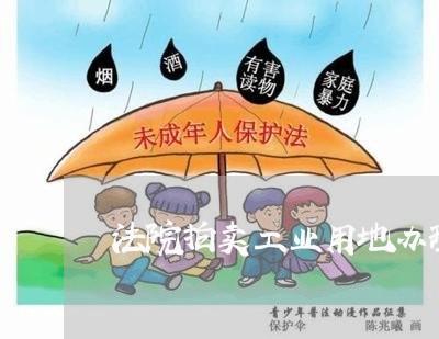法院拍卖工业用地办理不动产 法院拍卖工业用地办理不动产