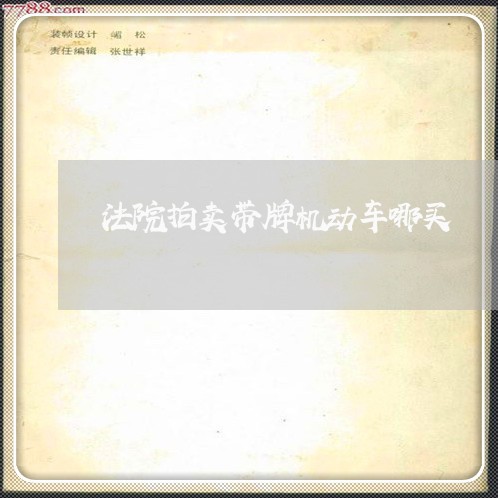 法院拍卖带牌机动车哪买