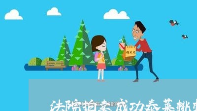 法院拍卖成功泰莱桃村