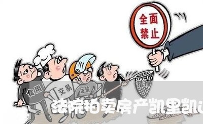 法院拍卖房产凯里凯运大道