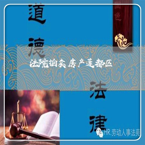 法院拍卖房产莲都区 法院拍卖房产莲都区