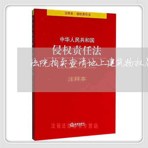 法院拍卖查清地上建筑物权属