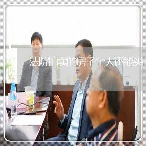 法院拍卖的房子个人还能买吗
