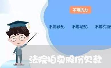 法院拍卖股份欠款