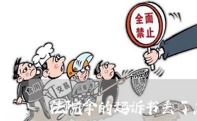 法院拿的起诉书丢了怎么办