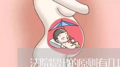 法院提出的原则有几项