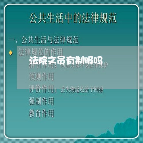 法院文员有制服吗