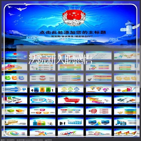 法院新入职感悟