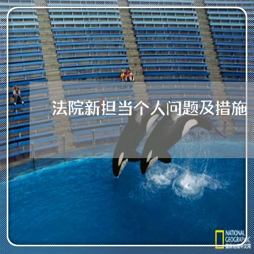 法院新担当个人问题及措施