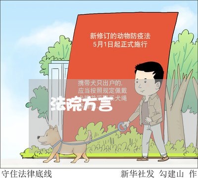 法院方言
