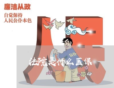 法院是什么医保 法院是什么医保