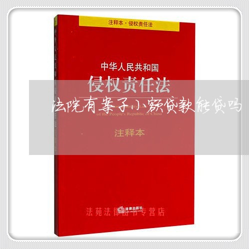 法院有案子小额贷款能贷吗 法院有案子小额贷款能贷吗