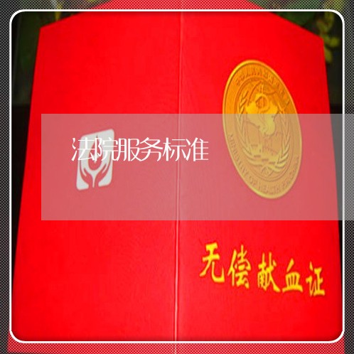 法院服务标准 法院服务标准