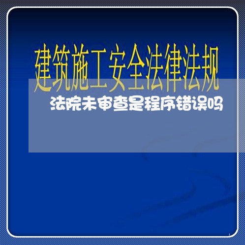法院未审查是程序错误吗