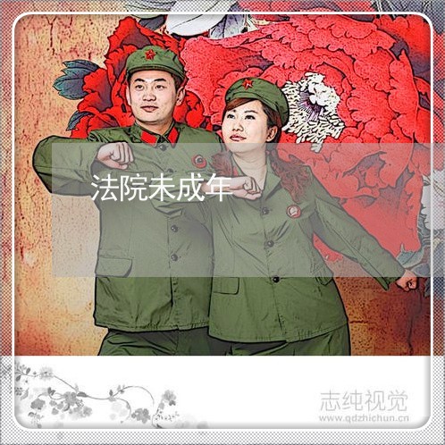 法院未成年
