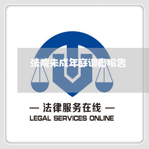法院未成年庭调查报告