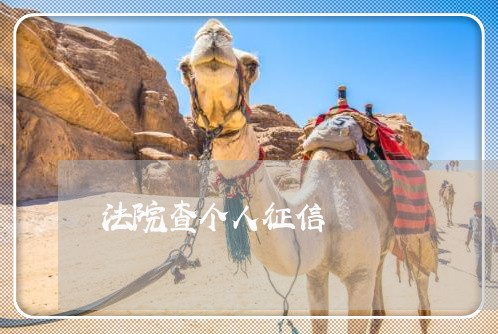 法院查个人征信
