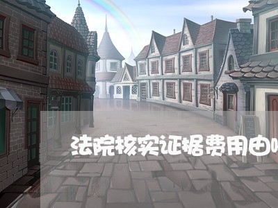 法院核实证据费用由哪方负责 法院核实证据费用由哪方负责