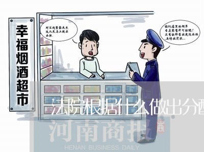 法院根据什么做出分配方案