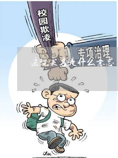 法院案名是什么意思