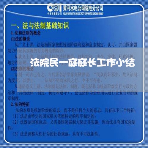 法院民一庭庭长工作小结 法院民一庭庭长工作小结
